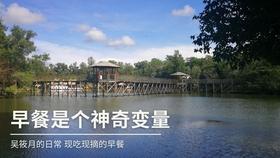 伯斯森林逃生